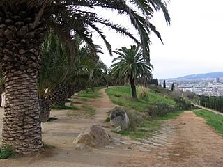 El Mirador del Migdia